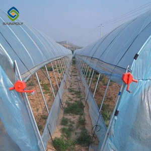 <span class=keywords><strong>Serre</strong></span> à film PE à portée unique avec cadre en acier galvanisé <span class=keywords><strong>Serre</strong></span> à petit tunnel économique pour l'agriculture des fleurs et des plantes - Product Image 3