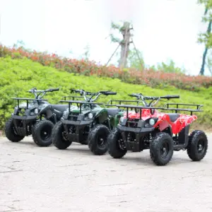 带可拆卸电池的儿童电动ATV，出厂价格1000w 48v