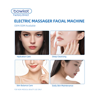 Appareil de massage facial 3D portatif ABS pour usage domestique, avec logo personnalisé, mini-rouleau tenseur de la peau, anti-rides, lifting du visage Bowket