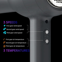 Sèche-cheveux professionnel ionique YX-T7 Max 2400W avec moteur DC sans balais, séchage rapide, pour usage hôtelier (femmes et hommes), avec buse concentrateur