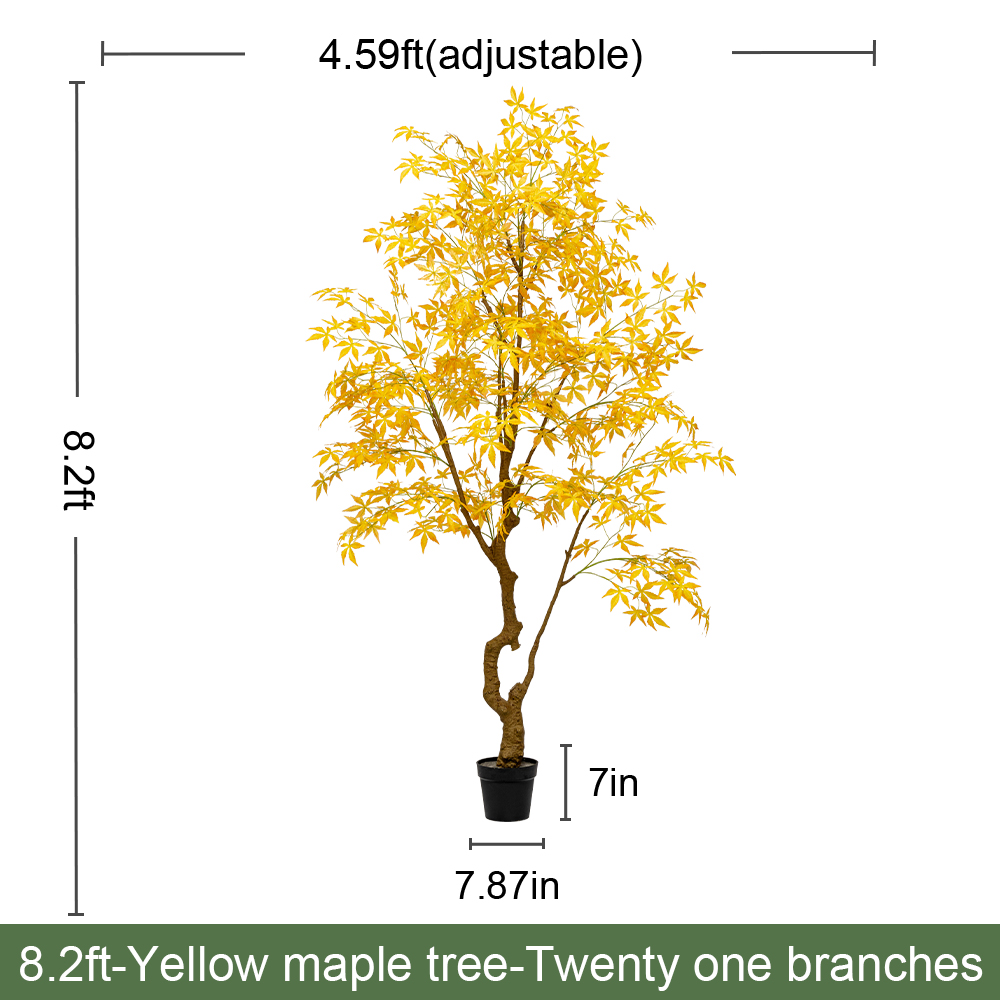 8.2ft/250cm