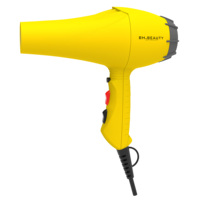 Sèche-cheveux professionnel ionique pour hôtel, diffuseur soufflant, machine de salon tout-en-un, souffleur électrique avec réglages chaud/froid, pour usage domestique et VR