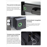 Cerradura de puerta de vidrio sin marco de oficina inteligente, cerradura inteligente Tuya Wi-Fi con manija para puerta de vidrio de partición