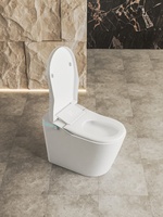 Toilet Pintar Satu Bagian yang Ramping dengan Kursi Berpemanas & Pembilas Otomatis, Toilet Bidet Cerdas Modern dengan Lampu LED Ambient