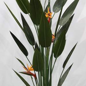 Grande plante artificielle en soie de type oiseau de <span class=keywords><strong>paradis</strong></span> en pot pour la décoration intérieure du salon <span class=keywords><strong>ou</strong></span> de l'agence, verdure artificielle - Product Image 5