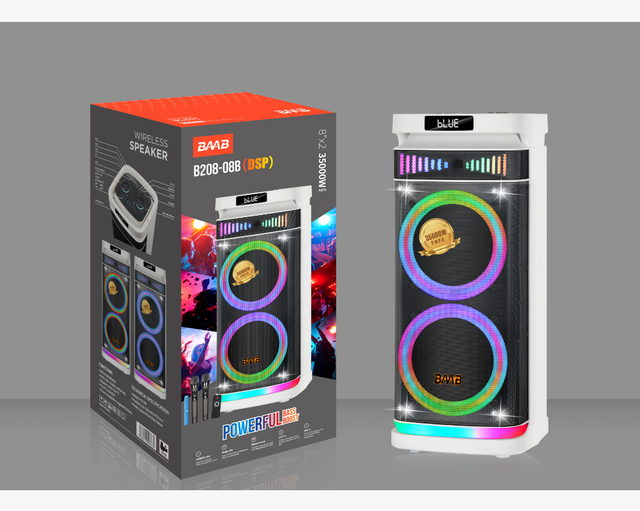 B208-08B Dual 8 Inch Woofer 60W DSP Two Wireless Microphones Remote Control for Outdoor Activity Factory Direct Sales