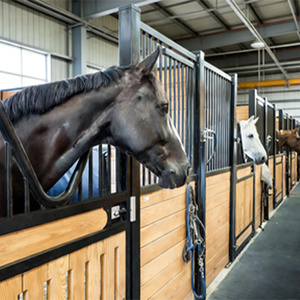 Portes coulissantes ME Stud Stable & Pig en acier thermolaqué noir, toit en bambou, prix bas, équestre Moyen-Orient, couleur personnalisable - Product Image 2