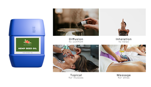 Dầu hạt gai dầu hữu cơ nguyên chất, thương hiệu riêng, bán buôn số lượng lớn, dùng chăm sóc da, mùi thơm tươi mát - Product Image 5