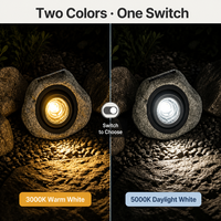 Lampe solaire murale en résine avec lumière chaude 30lm pour jardin