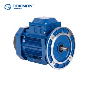 Moteur électrique triphasé, moteur à induction industriel pour compresseur d'air et système d'entraînement mécanique - Product Image 6