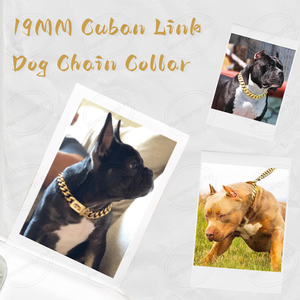 Collier de chien à maillons cubains en acier inoxydable 19MM chaîne en métal or 18K pour Pitbull berger allemand - Product Image 2