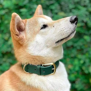 Vente en gros de colliers TPU à motif uni imprimables personnalisés Ensemble de laisse pour chien de chasse étanche Pitbull Fournitures pour animaux de compagnie Fourrure en cuir - Product Image 2