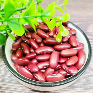 Vente en gros de haricots rouges foncés séchés de haute qualité pour les aliments en conserve - Product Image 4