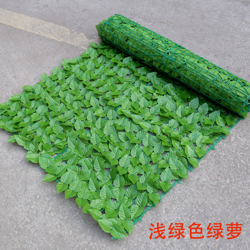 Clôture de feuille de radis vert clair