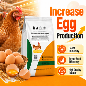 Prémélange Alimentaire de Haute Qualité pour <span class=keywords><strong>Poules</strong></span> Pondeuses – Complément Alimentaire Avicole pour Augmenter la Production d'Œufs – Usine OEM - Product Image 1