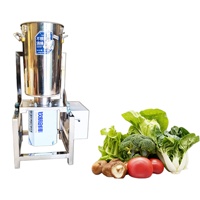 3KW 220V Multifunctionele pulpverwerkingsmachine voor chili, aardappel en tomaat, industriële automatische groentesnijder