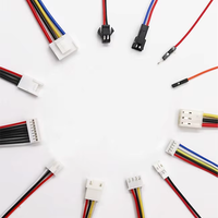 Wavelink menyesuaikan perakitan kabel elektronik JST PHD 2.0mm Pitch 2Pin 50Pin konektor kawat Harness
