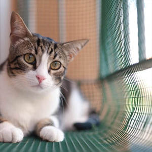 <b>Plastic</b> Balcony Protective Netting 1x5m Square <b>Mesh</b> Protective Fence for Railings or Gates - Product Image 5