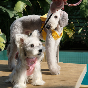 สายรัดอกสุนัขแบบตาข่ายนุ่มปรับได้พร้อมกระเป๋า รูปแบบ H และลายหมู สำหรับสัตว์เลี้ยงขนาดเล็กและขนาดกลาง - Product Image 2