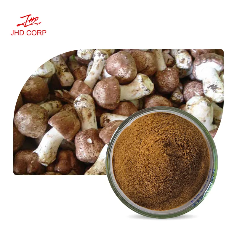 유기농 Agaricus Blazei Murill 버섯 추출물 분말 Agaricus Blazei 추출물