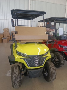 Vente en gros : Nouveau chariot de golf 4+2 places, buggy, batterie plomb-acide/lithium, moteur 3500W-7500W, 30-50Km/h, forte demande - Product Image 4