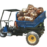 Petit Tricycle Mini Camion 4x4 à 3 Roues pour le Transport de Fruits de Palmier à Huile, Tracteur de Jardin et de Ferme, Benne Basculante pour Palmiers à Huile