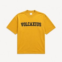 T-shirt vierge de luxe 240 GSM, coupe moderne minimaliste, en coton 100% filé à l'anneau, style de luxe, impression de logo personnalisée alternative