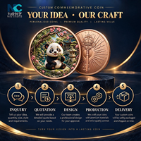 Pièce de monnaie Panda personnalisée, pièce commémorative en alliage de zinc et cuivre massif avec boîte de présentation en acrylique pour cadeaux
