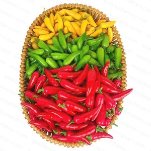 Livraison rapide légume artificiel réaliste faux poivre serrano petit piment réaliste faux légume pour la décoration d'art visuel - Product Image 6