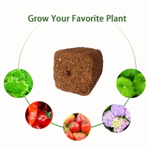 Turba de Coco para Cultivo, Bases de Cultivo para Plantas y Vegetales, para Corte de Plántulas, 50 Unidades - Product Image 3