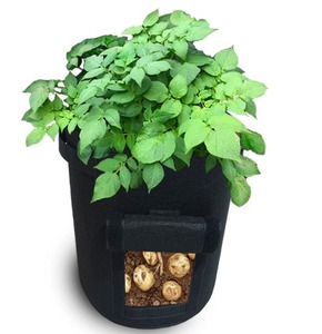 Tissu non tissé <span class=keywords><strong>de</strong></span> 10 gallons <span class=keywords><strong>de</strong></span> <span class=keywords><strong>culture</strong></span> biodégradable sans sol, <span class=keywords><strong>sac</strong></span> <span class=keywords><strong>de</strong></span> croissance <span class=keywords><strong>de</strong></span> plantes <span class=keywords><strong>en</strong></span> feutre <span class=keywords><strong>de</strong></span> fraise et <span class=keywords><strong>de</strong></span> champignon - Product Image 6