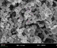 Nano Ni 50nm >99,9% poudre de nano-nickel nano-nickel