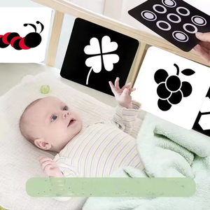 <span class=keywords><strong>Giocattoli</strong></span> Educativi Stampati, Libro per Bambini, Carte Flash in Carta per l'Educazione Precoce, per Bambini da 2 a 4 Anni - Product Image 1