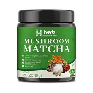 Marque privée OEM, produits biologiques sains à base de plantes pour adultes - Améliore l'immunité, la mémoire et l'énergie grâce à la poudre d'extrait de matcha et de champignons, 226,8 g - Product Image 1