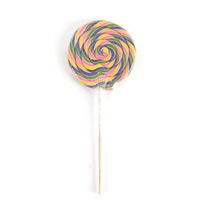 Bonbons sucettes artisanales géantes en spirale aux fruits arc-en-ciel, emballage individuel, 8,8 oz, fabrication OEM/ODM directe usine