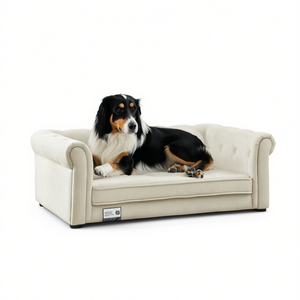 Cama Rectangular Elegante para Mascotas DB XL, Sofá Duradero de Pana para Perros Medianos y Grandes, Cómodo y Moderno - Product Image 1