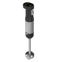 Nouveau mixeur multifonctionnel à deux vitesses variables, mixeur plongeant électrique haute vitesse, ensemble de mixeur à main en acier inoxydable