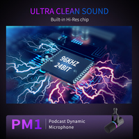 Micrófono Dinámico Profesional FEELWORLD PM1 XLR/USB para Grabación, Juegos, Transmisión en Vivo, Pedidos al por Mayor Directos de Fábrica B2B
