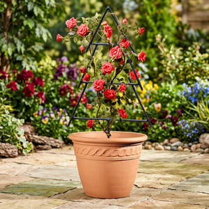 Pot de fleurs avec support en treillis métallique à motif corde pour roses grimpantes - Product Image 5