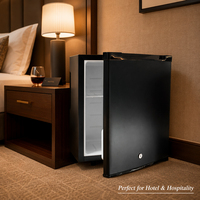 Mini-réfrigérateur électrique portable silencieux et économe en énergie de 30 L pour hôtel, chambre d'hôtes, refroidisseur de boissons