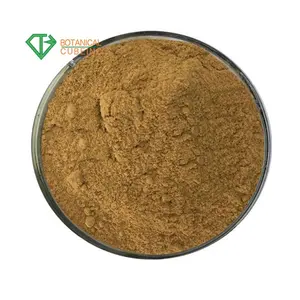 Natural Wrinkled Giant Hyssop Extract 10:1 Hyssopus Officinalis Extract Powder