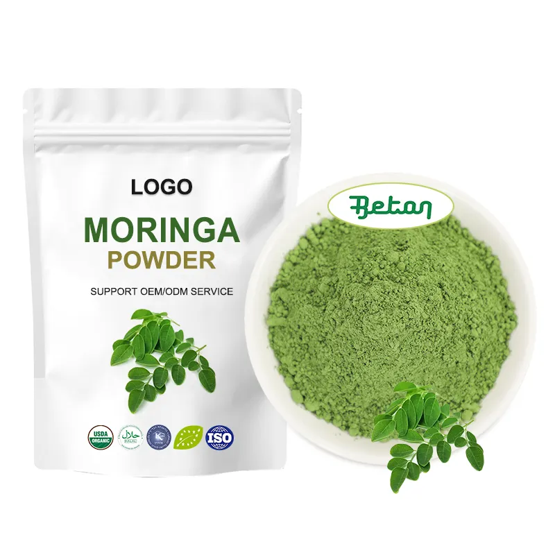 100 % reines organisches günstigstes Moringa-Extraktpulver Großhandelspreis Oleifera Moringa Blattpulver