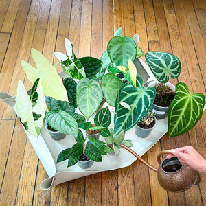 Alfombrilla grande para trasplantar plantas, alfombrillas para macetas, alfombrilla para plantar de cuero PU, fácil de limpiar, almohadilla para cambiar macetas, accesorios de jardín - Product Image 5