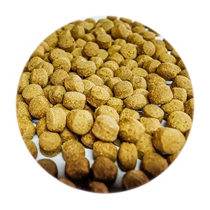 AQUAV High Protein <strong>Koi</strong> Pellet <strong>Fish</strong> <strong>Food</strong> Small Size with Best Price - Product Image 3