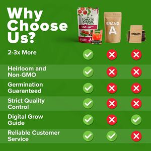 100% non-OGM héritage tomate truies <span class=keywords><strong>basilic</strong></span> truies paquet variété y compris cerise Roma zèbre tomate cultivant des planteurs - Product Image 5