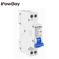 Interruptor Automático Magnetotérmico Monofásico (MCB) PYL1-63 Tipo C 230/400V ~ 50Hz/60Hz, Disyuntor Miniatura 3A 6A 10A 16A 20A 25A 32A 40A 50A 63A