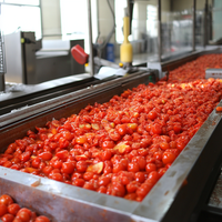 Mini-tomatenpureemachine, tomatenpuree productielijn met verdamper en sterilisator, apparatuur voor de verwerking van tomatenconcentraat