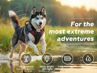 Collar para Perro y Gato de Plástico y Silicona con Rastreo GPS en Tiempo Real, Alertas de Geocerca, Luz LED, Indicaciones Sonoras, Monitor de Salud, Diagnóstico por IA, Resistente al Agua