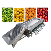 Sorteermachines En Sorteermachines Voor Groenten En Fruit, Producten Voor De Grootte, Sorteermachine Voor Fruit En Sortering