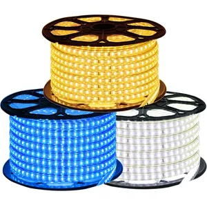 Waterproof IP67 Outdoor Rope White/Warm White/Blue SMD 3014 120LEDs/m LED Light Strip +EU Switch plug 220 240V LED Strip